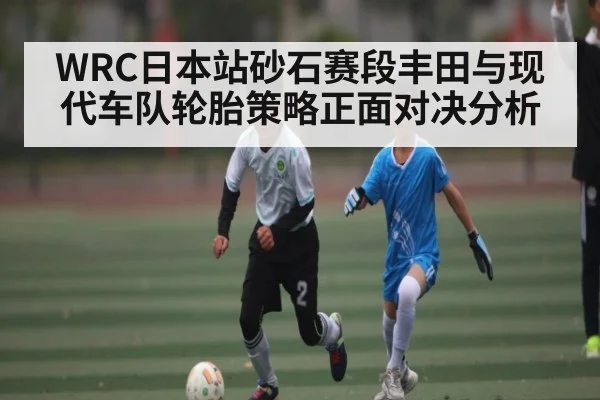 WRC日本站砂石赛段丰田与现代车队轮胎策略正面对决分析